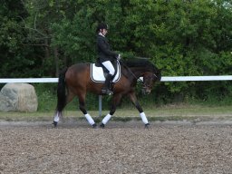 IMG_4968_web